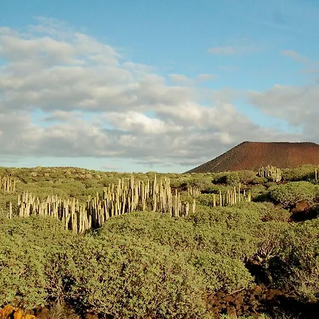 Camino Al Faro Playa de las Americas (Tenerife)